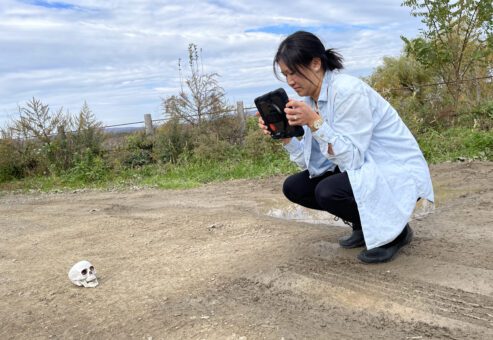 A woman crouches down on a path, using a tablet to photograph a skull placed on the ground, simulating a crime scene investigation as part of a team building activity focused on making a movie.