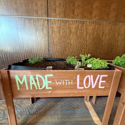 Featured Image For Productive Planters Team Building Event