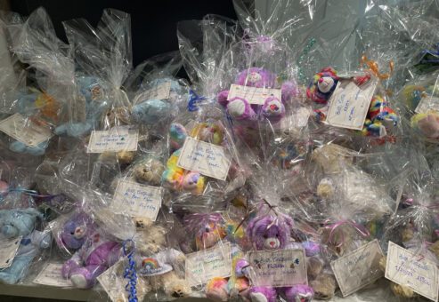 Dozens of colorful stuffed animals wrapped in clear plastic, ready for donation, each with a handwritten note attached.